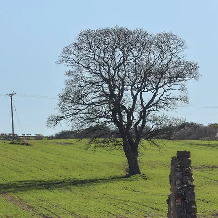 Beacon House בית נופש *