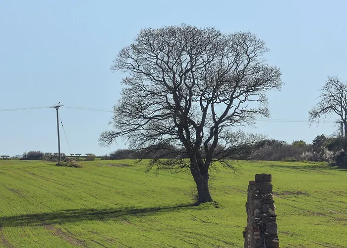 Beacon House בית נופש *